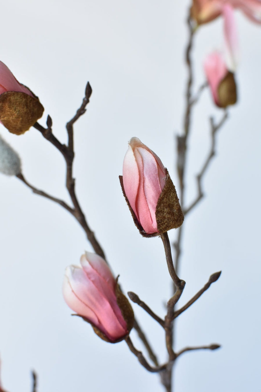 35" Faux Muted Pink Japanese Magnolia Bud Branch