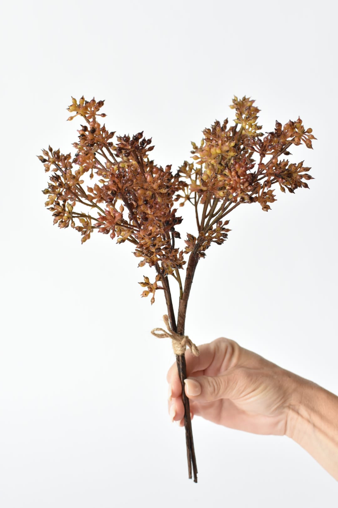 Faux amber sedum bundle showing the rust and tobacco color gradation
