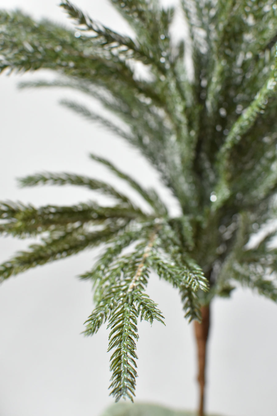 20" Faux Whitewash Green and ICED Norfolk Pine Spray Bush