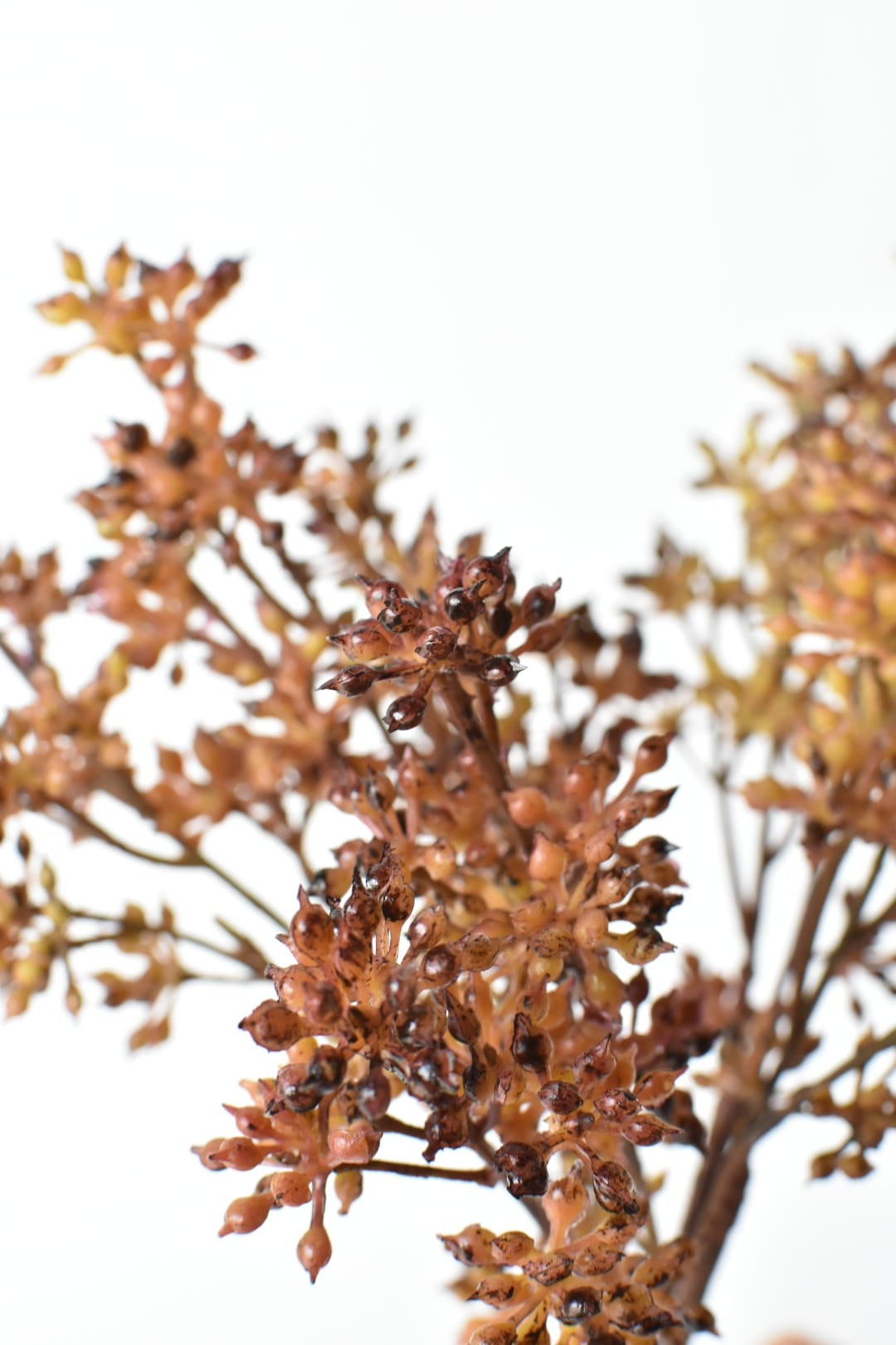 Texture detail of hard plastic amber sedum berries on a wired stem