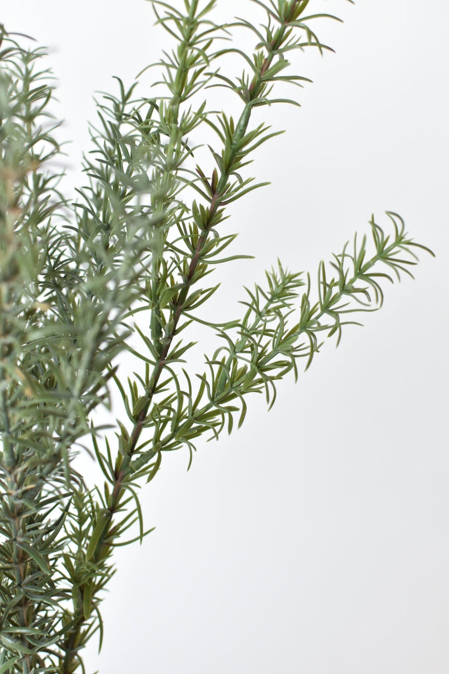 24" Faux Rosemary Bush