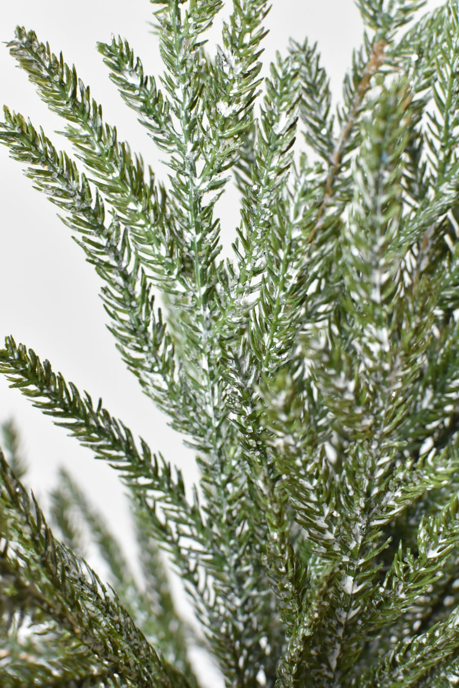 20" Faux Whitewash Green and ICED Norfolk Pine Spray Bush