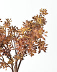 Amber tobacco sedum bundle viewed from a second angle, 3 tied stems