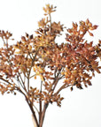 Bare lower stems of the 12 inch amber sedum bundle, splitting at 6 inches