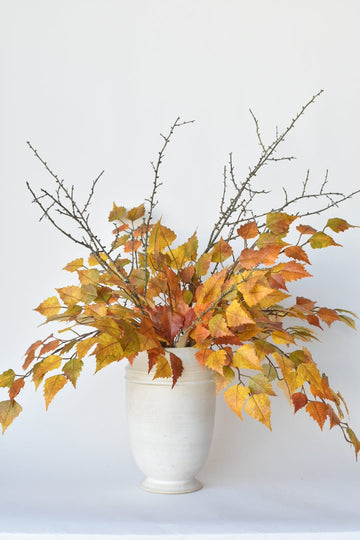 Yellow Orange Birch with Twigs - Curated Bundle