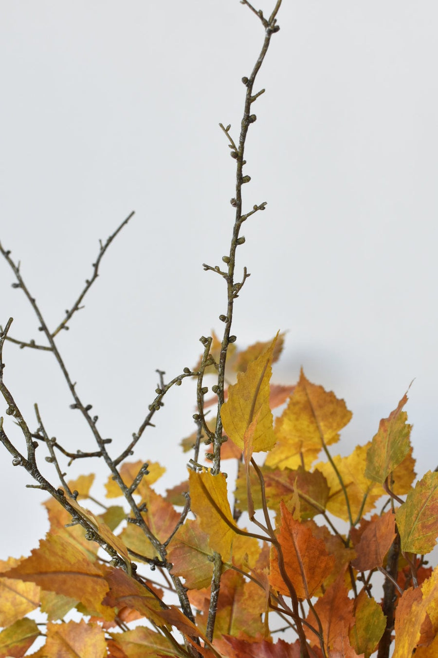 Yellow Orange Birch with Twigs - Curated Bundle