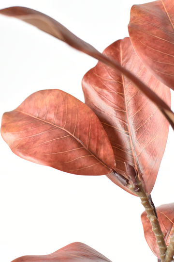 21" Faux Magnolia Leaf Stem : Rust