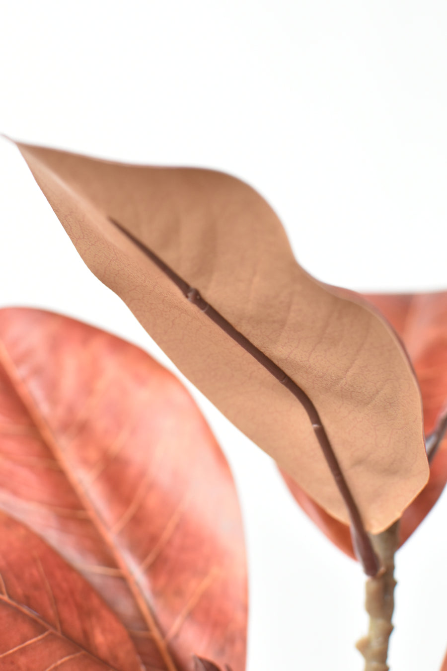 21" Faux Magnolia Leaf Stem : Rust