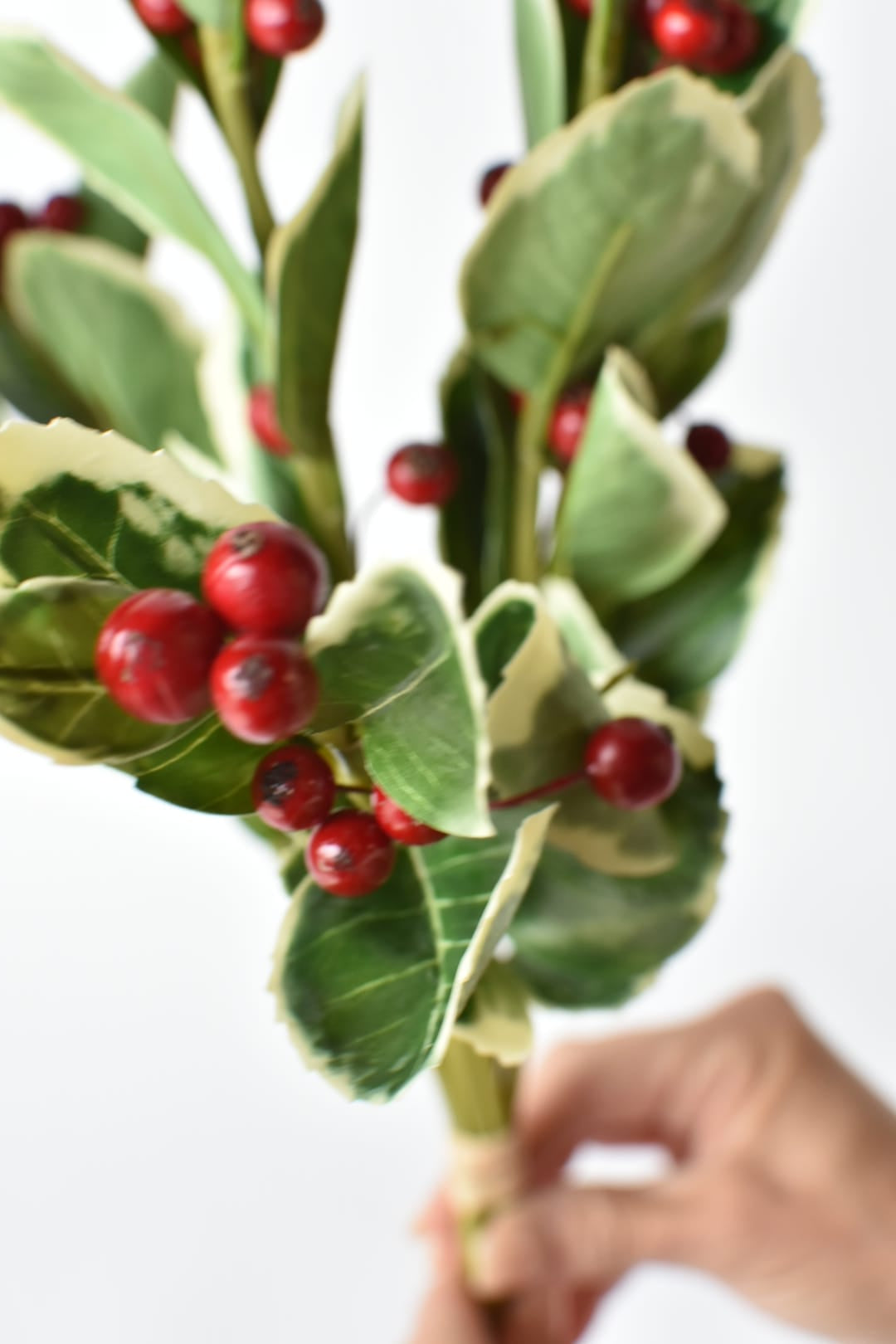 Faux variegated holly bundle, 14.5 inches, six stems tied with raffia
