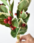 Faux variegated holly bundle, 14.5 inches, six stems tied with raffia