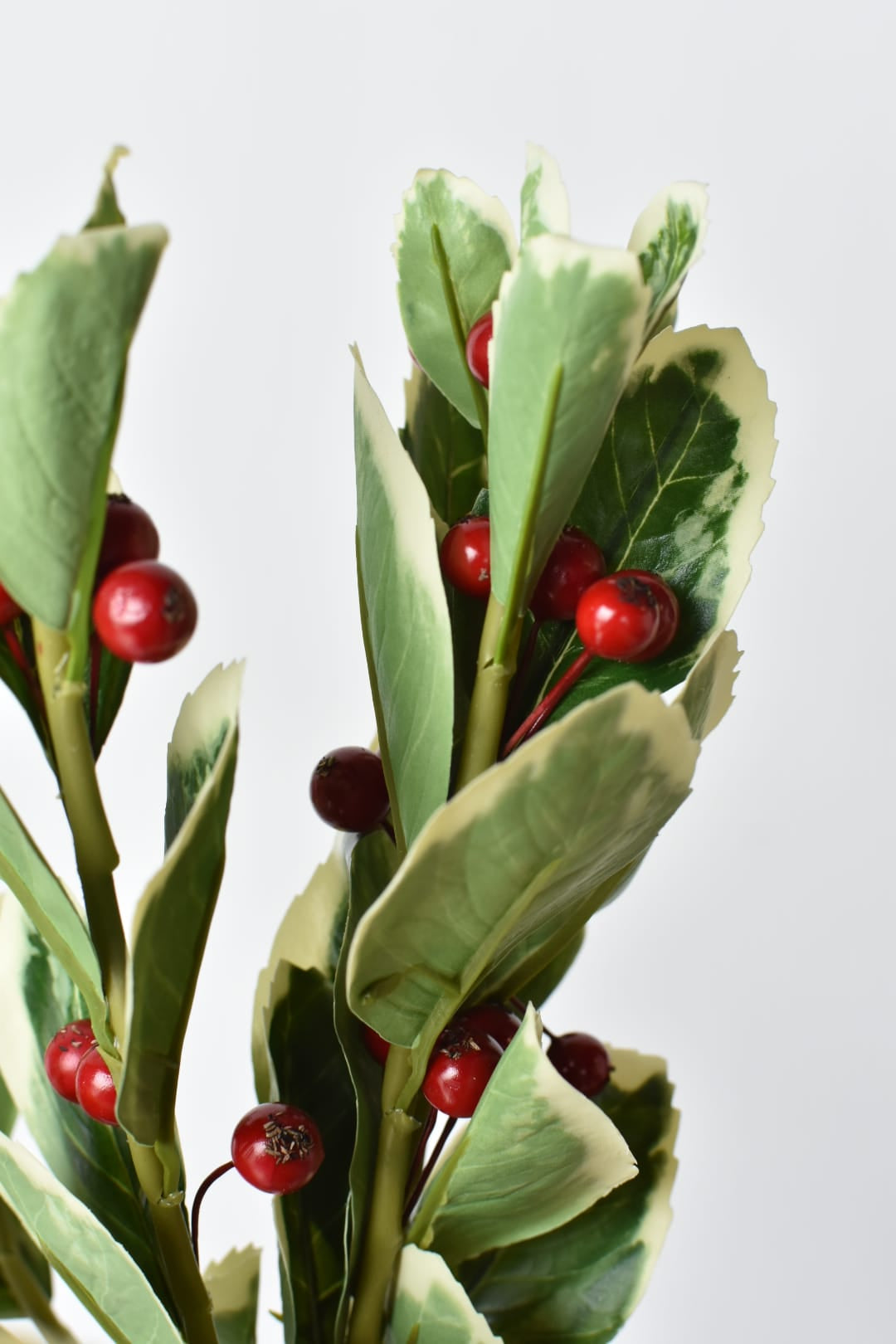 Full view of the 14.5 inch faux variegated holly bundle and raffia tie