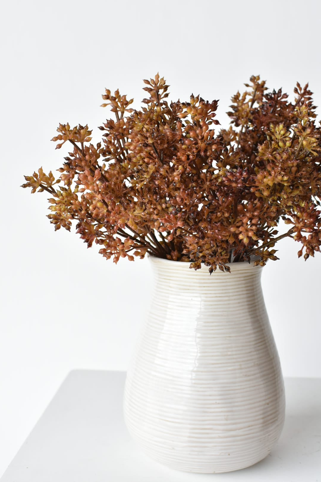Close-up of amber sedum berry clusters with spiky pointed heads