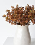 Close-up of amber sedum berry clusters with spiky pointed heads