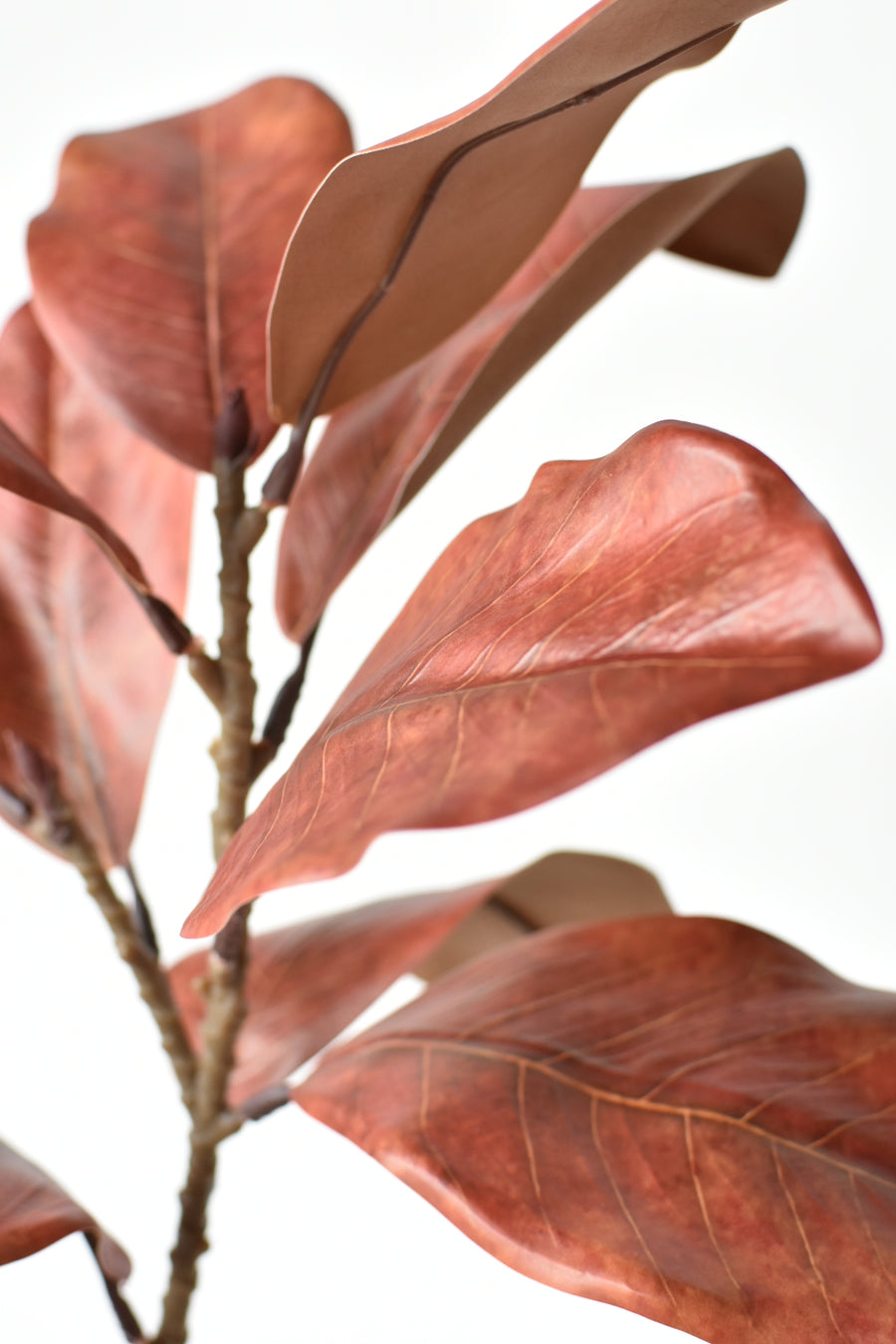 21" Faux Magnolia Leaf Stem : Rust