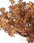 Faux amber sedum stems spread apart to show how the bundle mounds