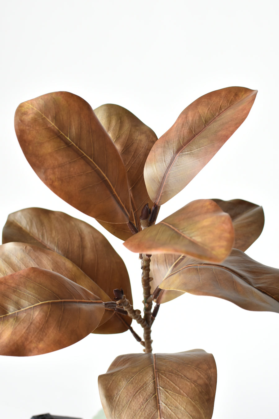 21" Faux Magnolia Leaf Stem : Brown