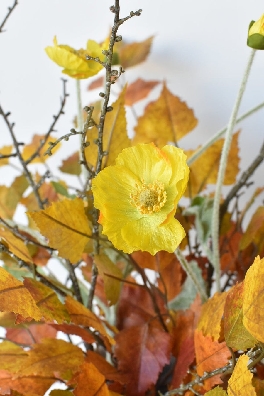 Yellow Orange Birch Poppy Twig Bundle - Curated Bundle