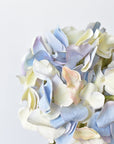 21" Faux Cream Lavendar Light Blue Hydrangea Stem