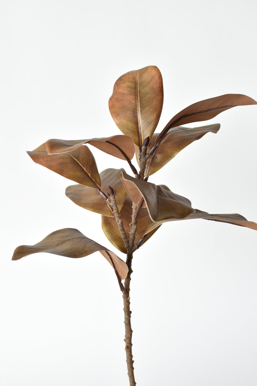 21" Faux Magnolia Leaf Stem : Brown