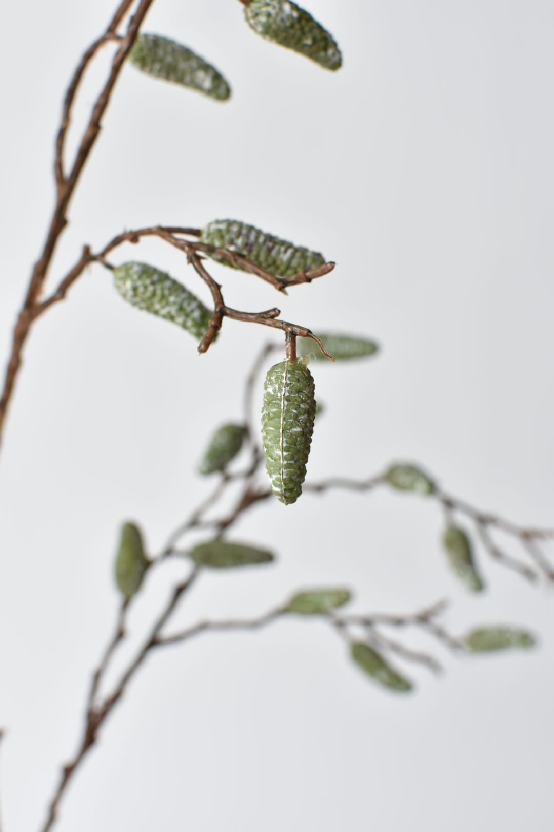 Close-up of gray-washed green pods on a faux pod spray branch stem