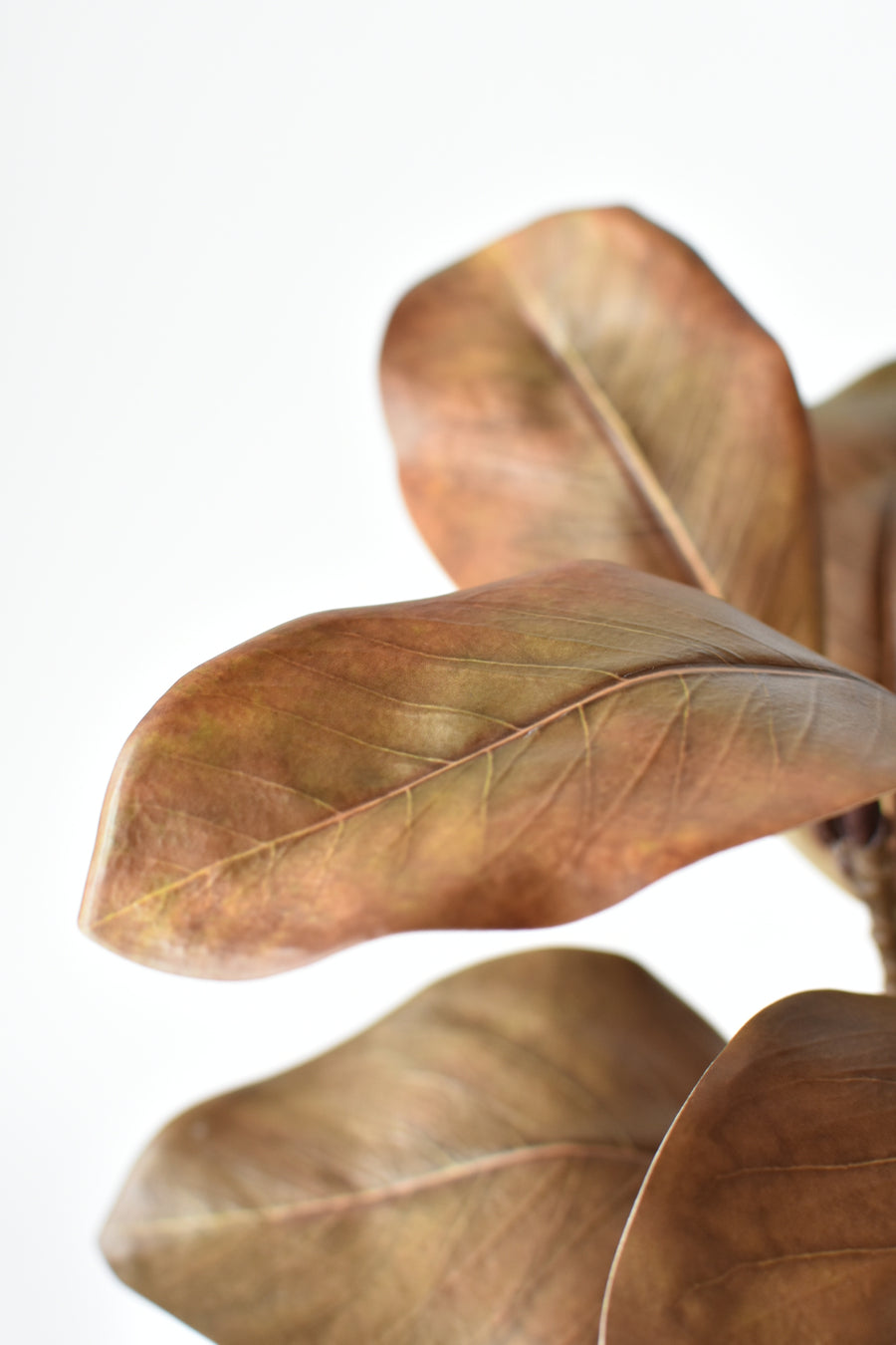 21" Faux Magnolia Leaf Stem : Brown