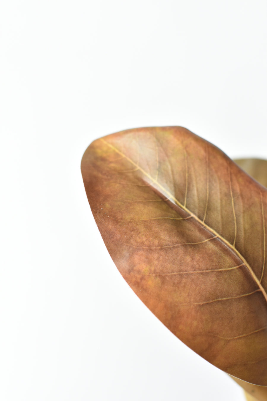 21" Faux Magnolia Leaf Stem : Brown