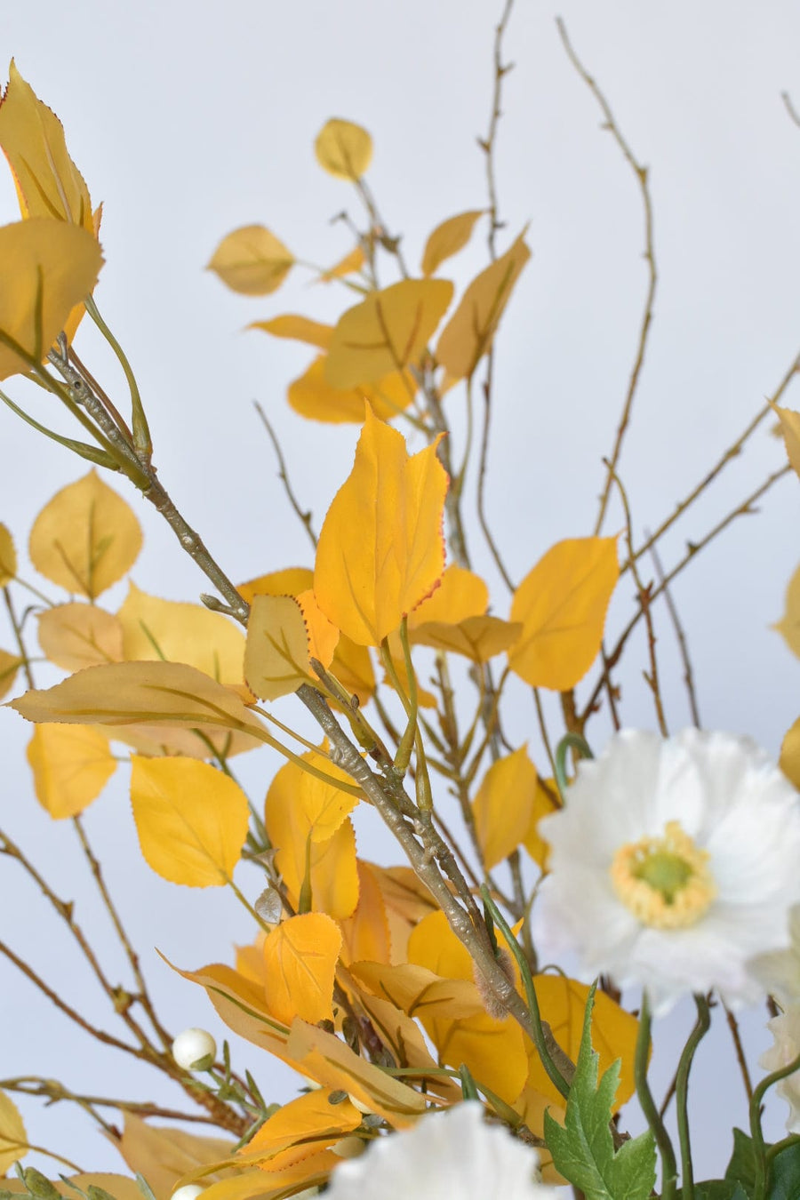 Yellow Aspen White Poppy - Curated Bundle