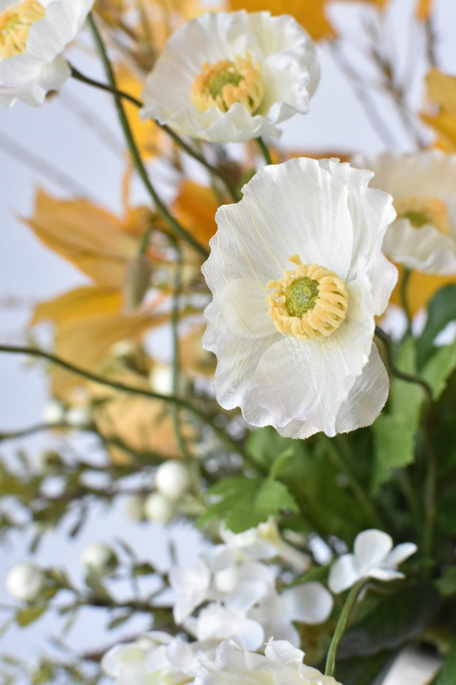 Yellow Aspen White Poppy - Curated Bundle
