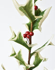 Close-up of red foam berries on a faux white edged holly stem