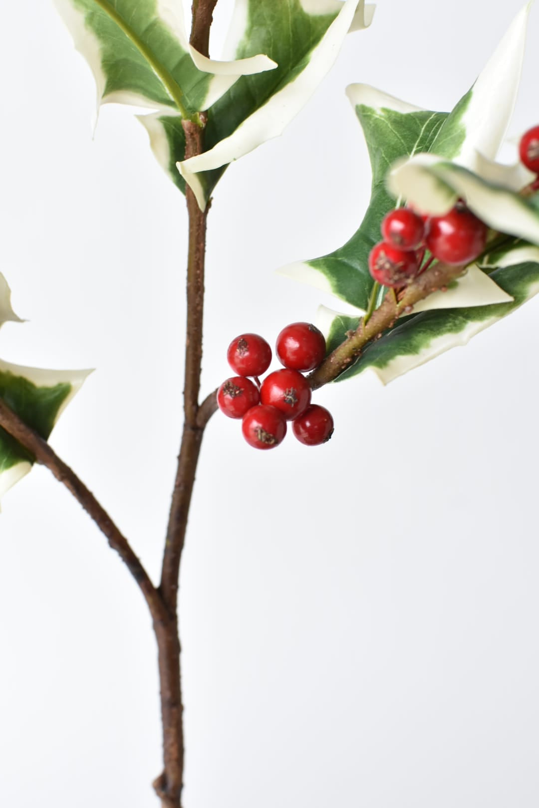 Faux white edged holly stem with red berries from a second angle
