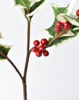 Faux white edged holly stem with red berries from a second angle