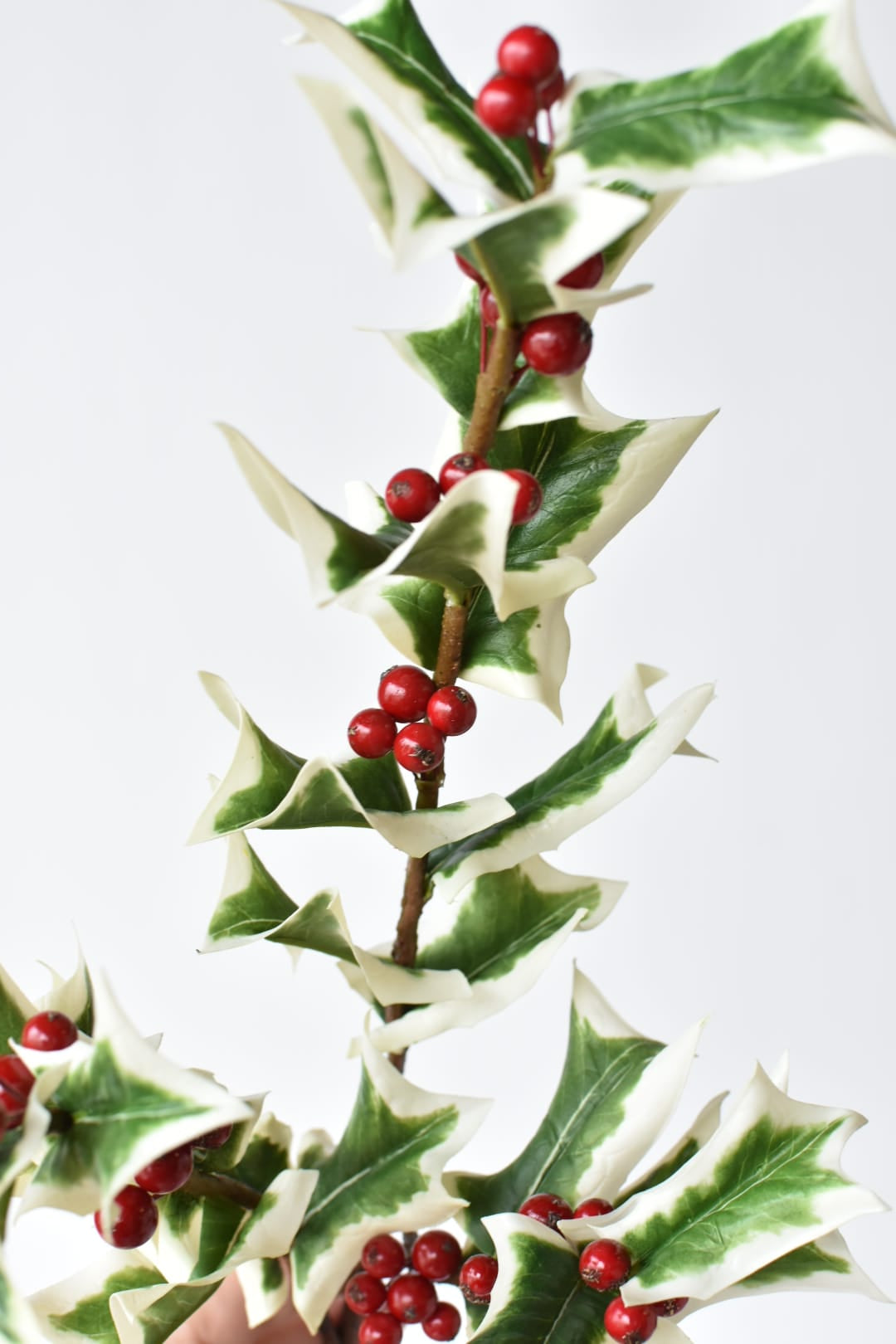 Spiky white edged holly leaves with soft points on a faux stem