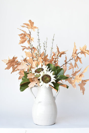 Maple Leaf Pussy Willow - Curated Bundle