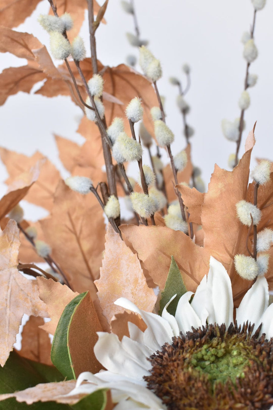 Maple Leaf Pussy Willow - Curated Bundle