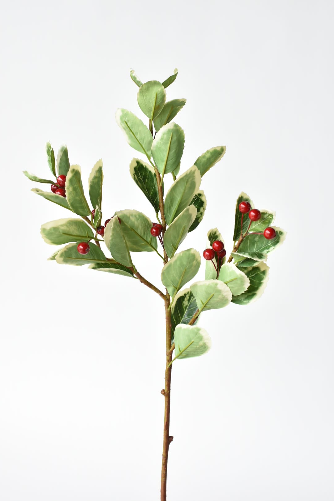 Faux variegated holly stem, 27 inches, with red berries on three branches