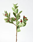 Faux variegated holly stem, 27 inches, with red berries on three branches