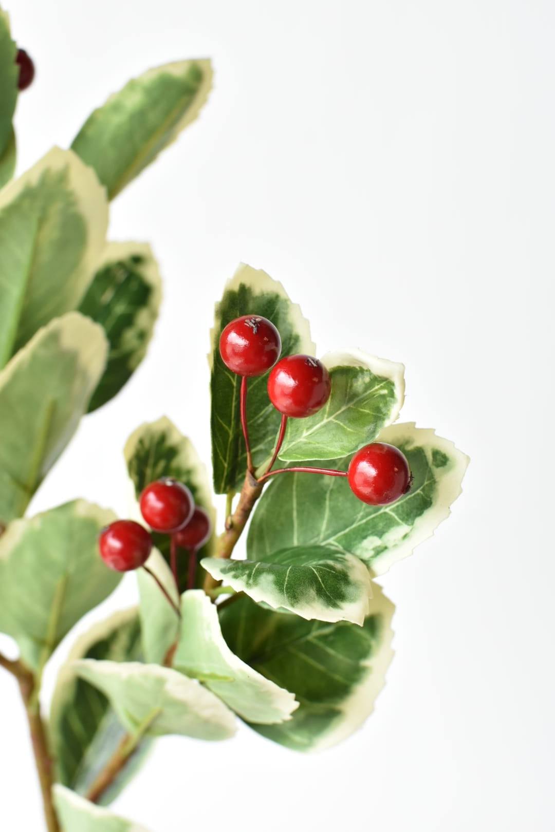 Variegated holly leaves with a waxy finish on a faux 27 inch stem