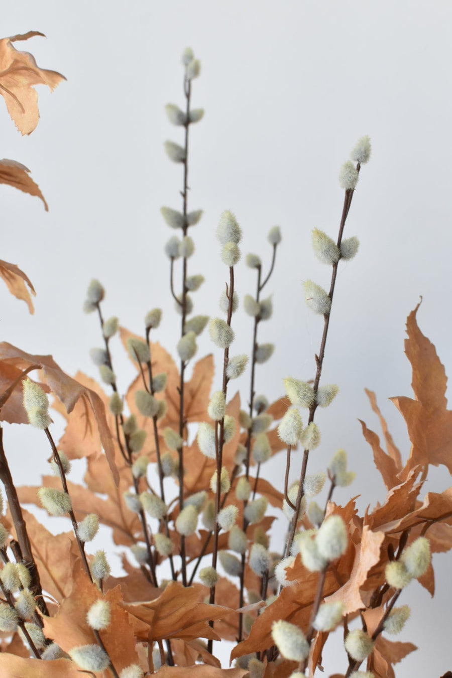 Maple Leaf Pussy Willow - Curated Bundle