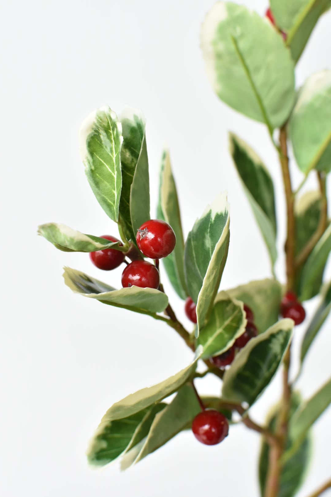 Close-up of red foam berries on a faux variegated holly stem
