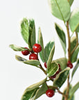 Close-up of red foam berries on a faux variegated holly stem