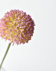 17.5" Faux Lavender Allium Stem