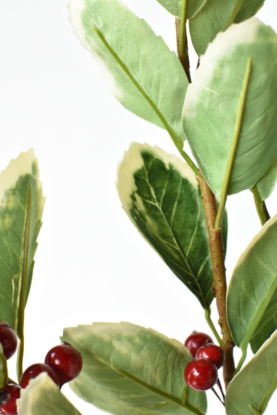 Full length view of the 27 inch faux variegated holly stem