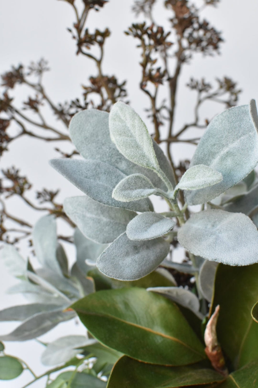 Brown Sedum Ruscus - Curated Bundle