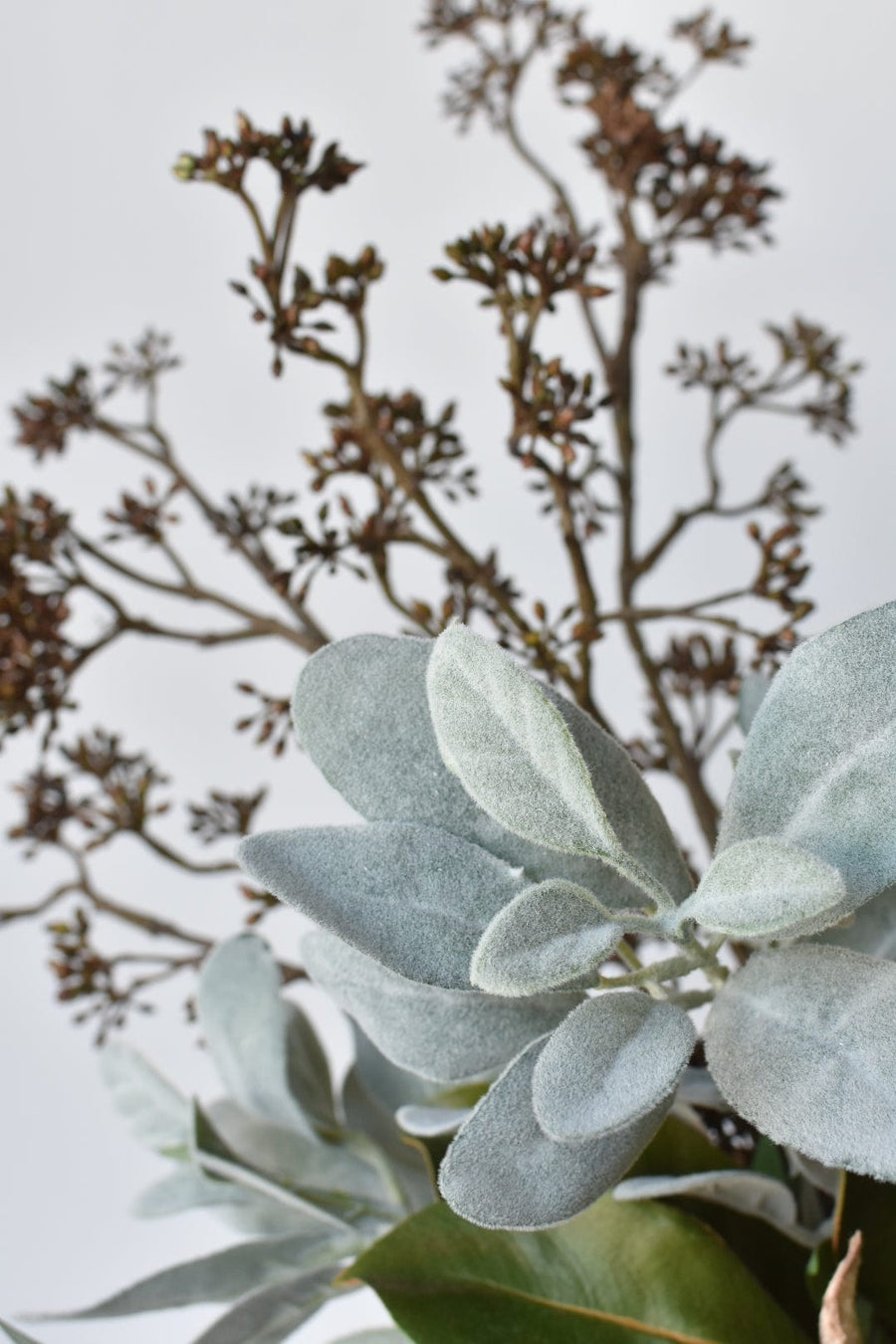 Brown Sedum Ruscus - Curated Bundle