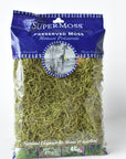 Spanish Moss: Green