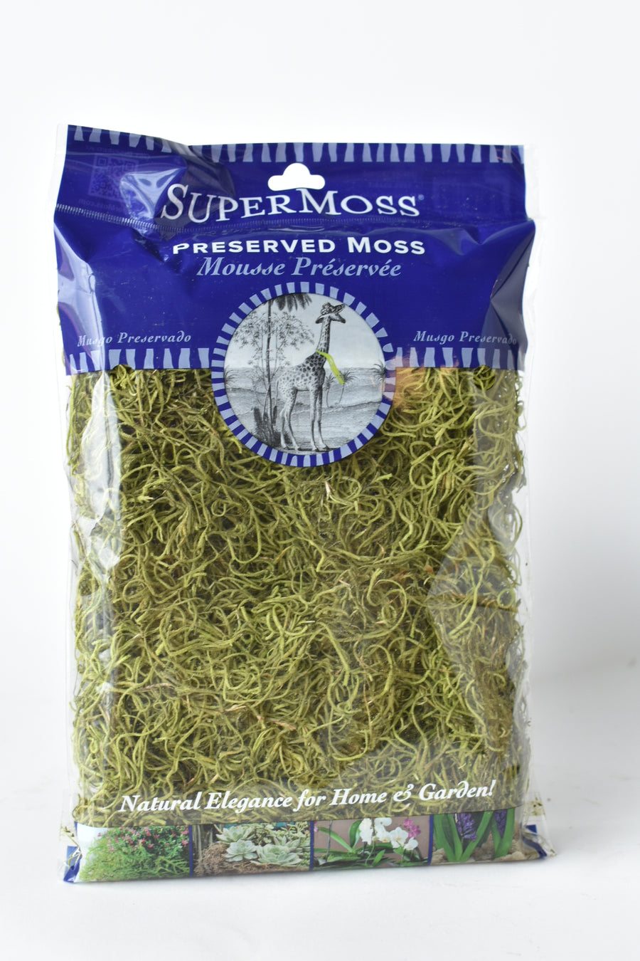 Spanish Moss: Green