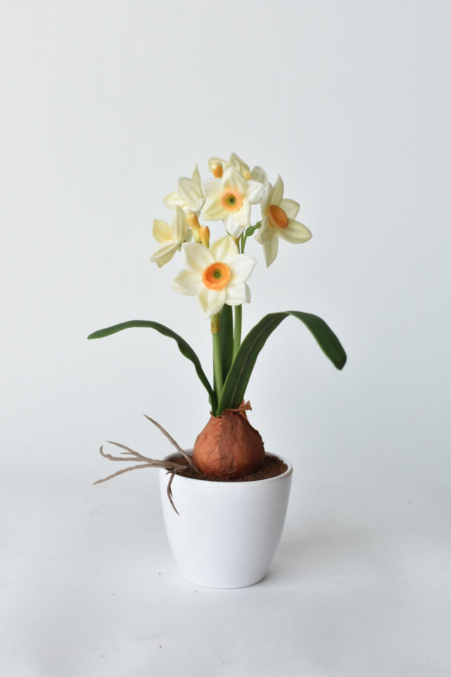 9.5" Mini Daffodil in Pot