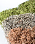 Spanish Moss: Natural Color