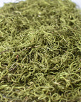 Spanish Moss: Green