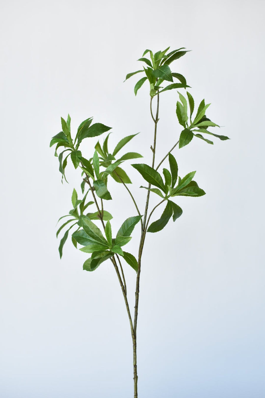 35" Faux Schefflera Leaf Branch Stem